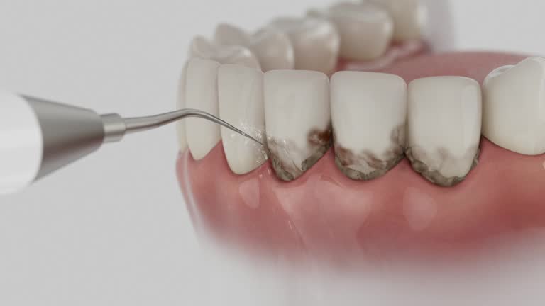 Reliable Dental contractor in Largo, MD by Dentist Open Now